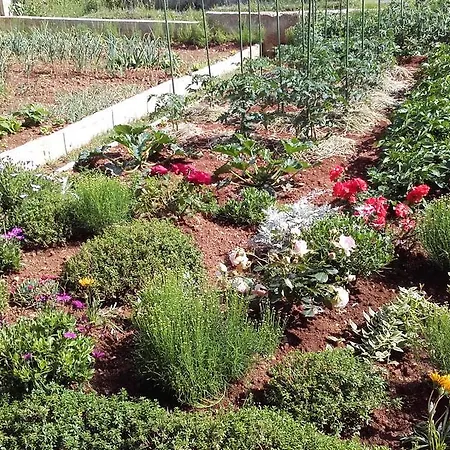 アパート Pranjic *